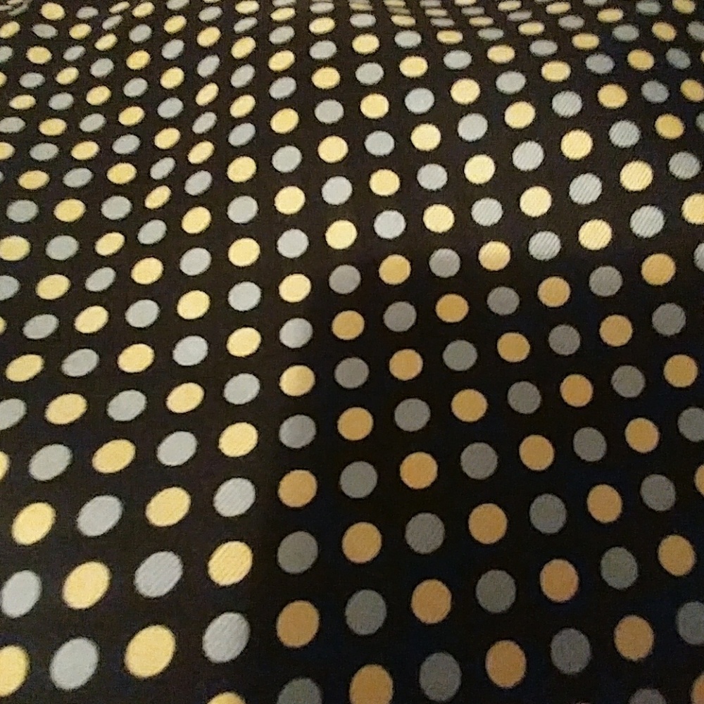 SILK  Ann Taylor skirt GORGEOUS!